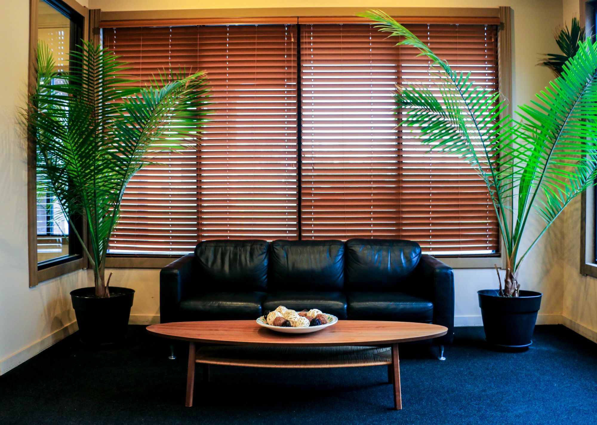 Suite Dreams Hotel Mattoon Ngoại thất bức ảnh